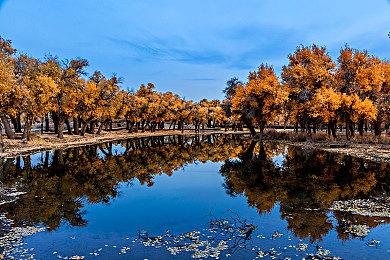 动作生存游戏《Forever Skies》“研究站系统”预告